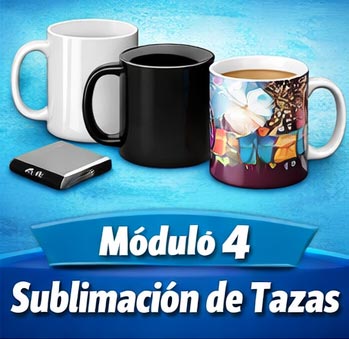 Módulo 4